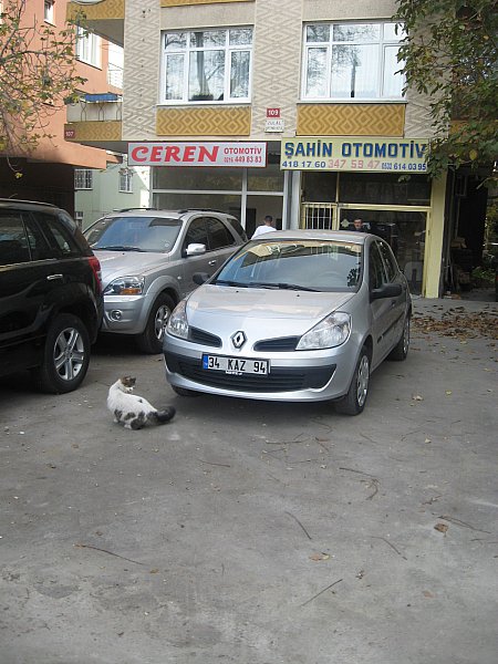 Tıklayın