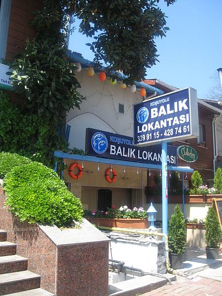 ko�uyolu bal�k