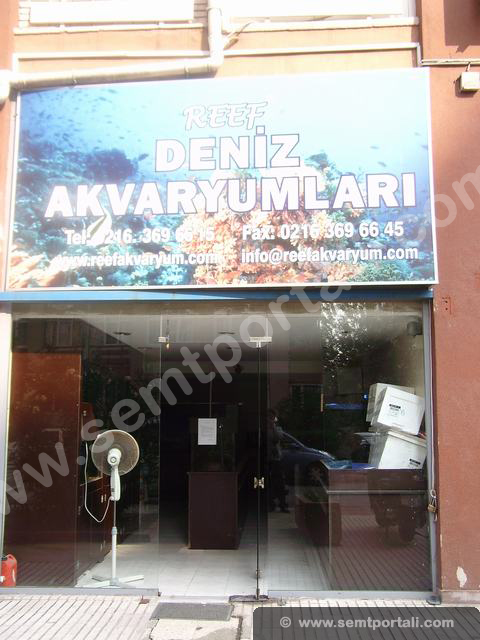 Tıklayın